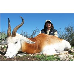 3-Day Dama Gazelle Hunt for One Hunter in South Texas - Includes Trophy Fee