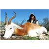 Image 1 : 3-Day Dama Gazelle Hunt for One Hunter in South Texas - Includes Trophy Fee
