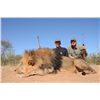 Image 1 : 10-Day Lion and Plains Game Hunt for Two Hunters in South Africa - Includes Trophy Fee Credit