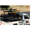 Image 3 : 10-Day Lion and Plains Game Hunt for Two Hunters in South Africa - Includes Trophy Fee Credit