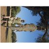 Image 1 : 7-Day Crocodile Hunt for One Hunter and One Non-Hunter in South Africa - Includes Trophy Fee