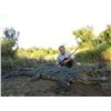 Image 3 : 7-Day Crocodile Hunt for One Hunter and One Non-Hunter in South Africa - Includes Trophy Fee