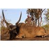 Image 1 : 13-Day Lord Derby Eland Cameroon Savannah Safari for One Hunter and One Non-Hunter