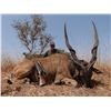 Image 2 : 13-Day Lord Derby Eland Cameroon Savannah Safari for One Hunter and One Non-Hunter