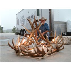 Elongated Elk Chandelier