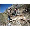 Image 1 : 5-Day Ronda Ibex Hunt for One Hunter and One Non-Hunter in Spain - Includes Trophy Fee