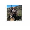 Image 1 : 7-Day Mouflon Sheep Hunt for One Hunter and One Non-Hunter in Macedonia - Includes Trophy Fee