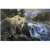 Image 1 : Collection of Wildlife Prints by Artist, Lorenzo Ghiglieri