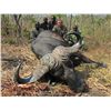 Image 2 : 10-Day Buffalo Hunt for One Hunter and One Non-Hunter in Tanzania
