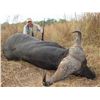 Image 3 : 10-Day Buffalo Hunt for One Hunter and One Non-Hunter in Tanzania