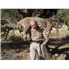 Image 1 : 12-Day Leopard Hunt for One Hunter in Namibia - Includes Trophy Fee