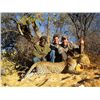 Image 3 : 12-Day Leopard Hunt for One Hunter in Namibia - Includes Trophy Fee