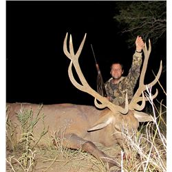 4-Day Red Stag Hunt AND 1-Day Dove Hunt for Two Hunters in La Pampa, Argentina - Includes Trophy Fee