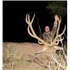 Image 1 : 4-Day Red Stag Hunt AND 1-Day Dove Hunt for Two Hunters in La Pampa, Argentina - Includes Trophy Fee