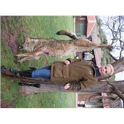 7-Day Wolf Hunt for One Hunter and One Observer in Macedonia