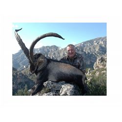 3-Day Trophy Gredos OR Southeastern Ibex Hunt for One Hunter in Spain - Includes Trophy Fee
