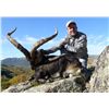 Image 3 : 3-Day Trophy Gredos OR Southeastern Ibex Hunt for One Hunter in Spain - Includes Trophy Fee