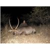 Image 1 : 10-Day Waterbuck Hunt for Two Hunters in South Africa - Includes Trophy Fee