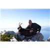 Image 1 : 2-Day Balkan Chamois Hunt for One Hunter and One Non-Hunter in Croatia - Includes Trophy Fee