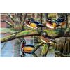 Image 1 : "Ladies Choice" - Acrylic Original by Cynthie Fisher