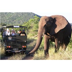 6-Day Photo Safari for Two in South Africa