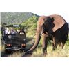 Image 1 : 6-Day Photo Safari for Two in South Africa