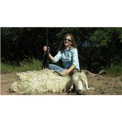 4-Day Blackbuck and Pampas Ram Hunt for Two Hunters in Argentina - Includes Trophy Fees