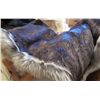 Image 1 : Mahogany Dyed Beaver Blanket with Pearl Fox Trim
