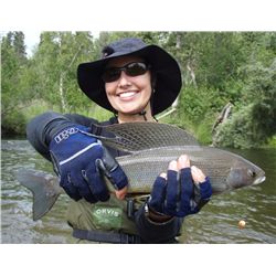 7-Day Alaskan Sport-Fishing Adventure for One Angler