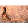 Image 2 : 4-Day Cast and Blast for Two Hunters/Anglers in California