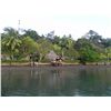 Image 3 : 2-Day/3-Night Billfishing Trip For Two Anglers in Costa Rica
