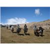 Image 4 : 7-day Mid-Asian Ibex Hunt for One Hunter in Kyrgyz Republic - Includes Trophy Fee