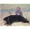 Image 2 : 5-Day Coastal Black Bear Hunt for One hunter in Vancouver Island