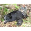 Image 3 : 5-Day Coastal Black Bear Hunt for One hunter in Vancouver Island