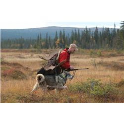5-Day Traditional Driven Moose Hunt for One Hunter in Sweden - Includes Trophy Fee