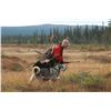 Image 1 : 5-Day Traditional Driven Moose Hunt for One Hunter in Sweden - Includes Trophy Fee