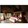 Image 10 : 7-Day Lion Hunt for One Hunter in South Africa - Includes Trophy Fee