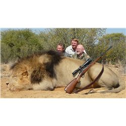 7-Day Lion Hunt for One Hunter in South Africa - Includes Trophy Fee