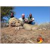 Image 4 : 7-Day Lion Hunt for One Hunter in South Africa - Includes Trophy Fee