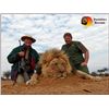 Image 7 : 7-Day Lion Hunt for One Hunter in South Africa - Includes Trophy Fee