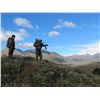 Image 2 : 6-Day Red Stag Hunt for One Hunter and One Non-Hunter in New Zealand - Includes Trophy Fee