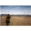Image 1 : Five-Star, 4-Day/ 3-Night Dove Hunt in Cordoba, Argentina for 2 Hunters - Includes 6 Hunts