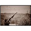 Image 2 : Five-Star, 4-Day/ 3-Night Dove Hunt in Cordoba, Argentina for 2 Hunters - Includes 6 Hunts