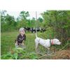 Image 2 : 2-Day Quail Hunt for Four Hunters in Alabama
