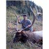 Image 1 : 9-Day Elk Hunt for One Hunter in British Columbia - Includes Trophy Fee