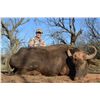 Image 2 : 3-Day Water Buffalo Hunt for One Hunter and One Non-Hunter in Texas - Includes Trophy Fee