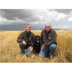 4-Day Bird Hunt and Cape Town Tour for Two Hunters in South Africa