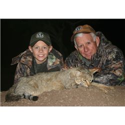 5-Day Wild Cat and Plains Game Hunt for One Hunter in South Africa - Includes Trophy Fees