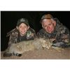 Image 1 : 5-Day Wild Cat and Plains Game Hunt for One Hunter in South Africa - Includes Trophy Fees