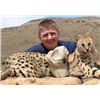 Image 2 : 5-Day Wild Cat and Plains Game Hunt for One Hunter in South Africa - Includes Trophy Fees